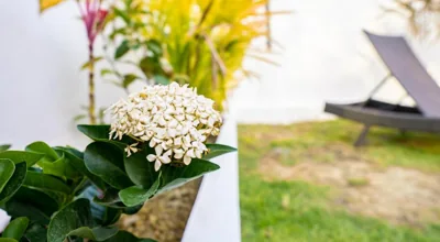 Ozzy villa phangan – Photos 16